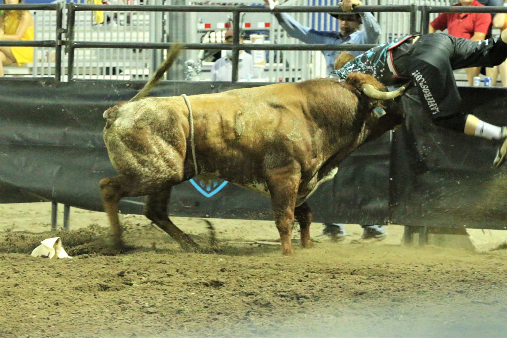 082920_Bulls_007.JPG